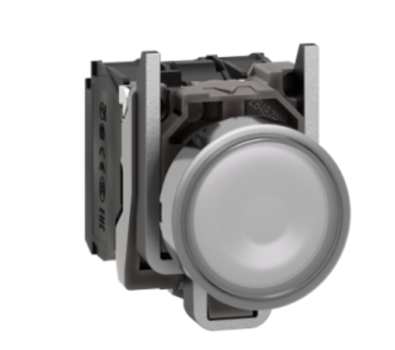 Schneider Electric XB4BW31B5