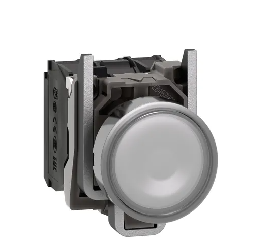 Schneider Electric XB4BW31B5